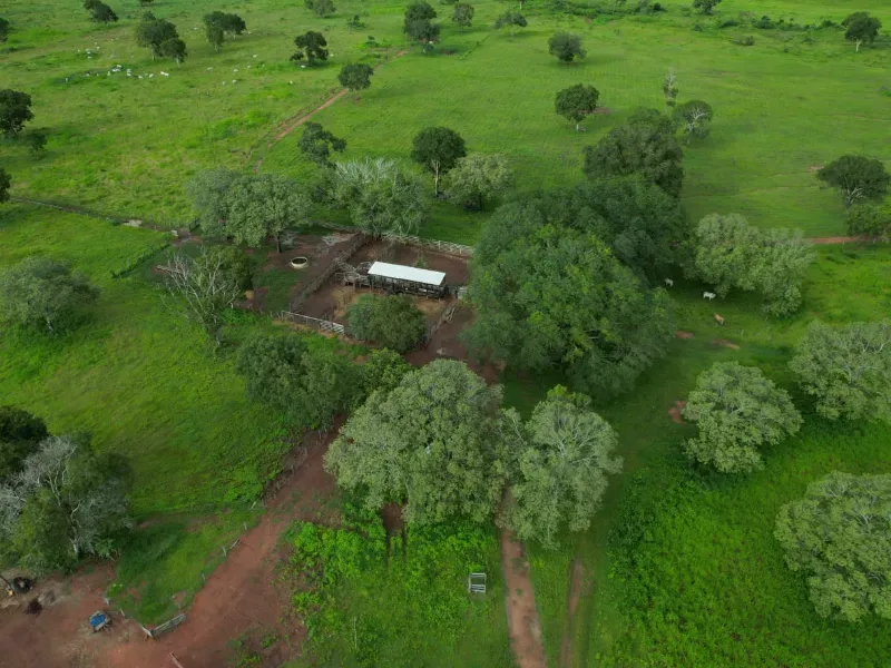 Fazenda em Alvorada/Tocantins — Ref DZZJQW — Imagem 10