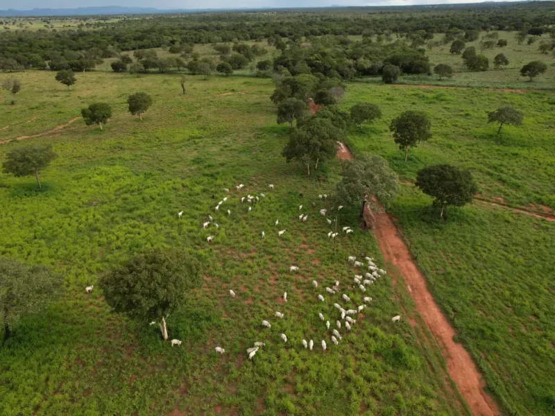 Fazenda em Alvorada/Tocantins — Ref DZZJQW — Imagem 2