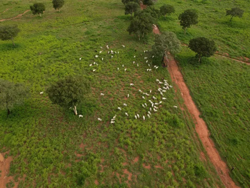 Imóvel rural em Alvorada/Tocantins — Ref DZZJQW1