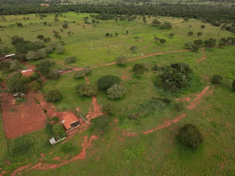 Fazenda em Alvorada/Tocantins — Ref DZZJQW — Imagem 8