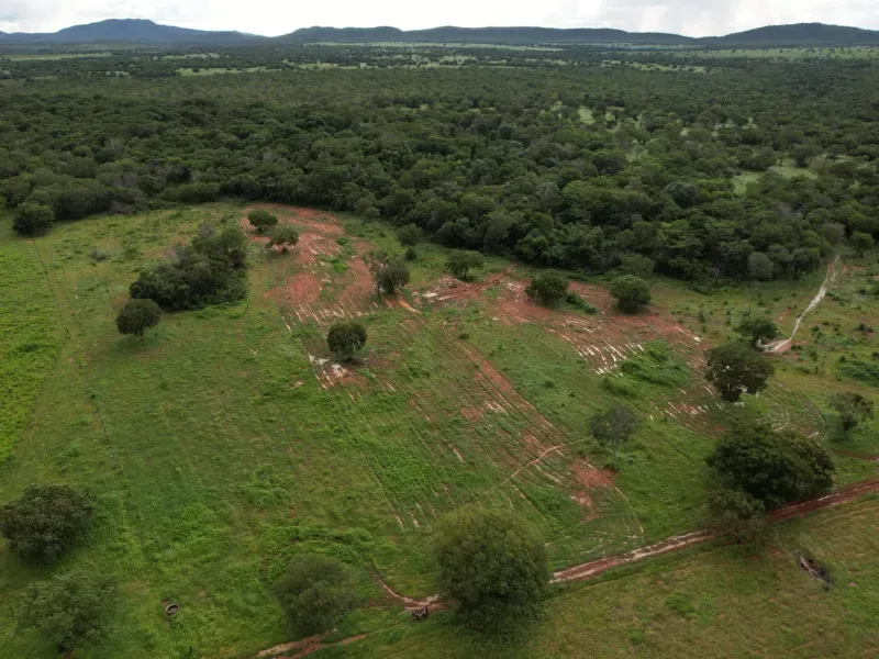 Fazenda em Alvorada/Tocantins — Ref DZZJQW — Imagem 3