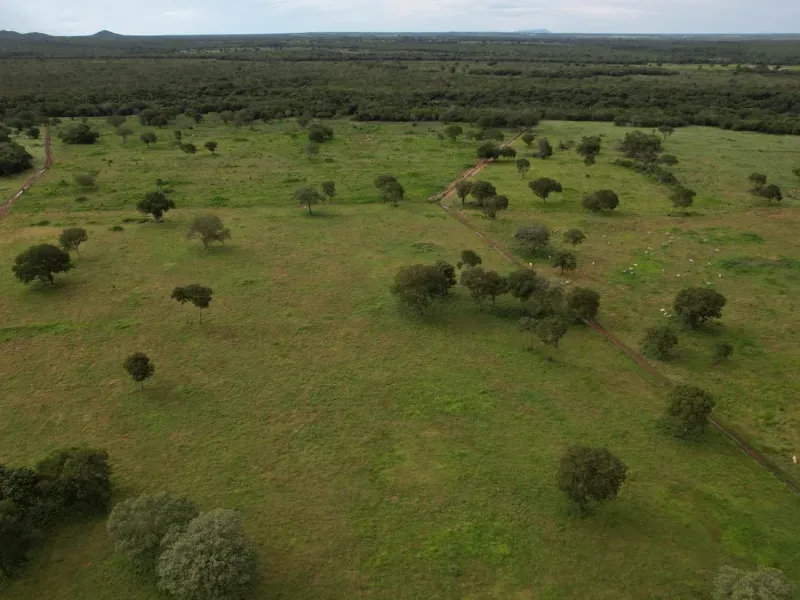 Fazenda em Alvorada/Tocantins — Ref DZZJQW — Imagem 4