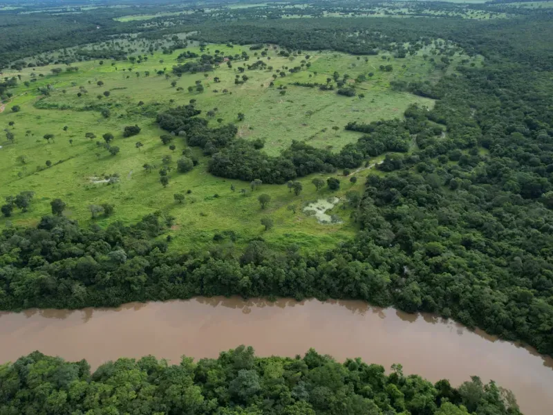 Fazenda em Alvorada/Tocantins — Ref DZZJQW — Imagem 12