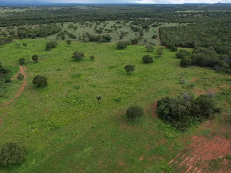 Fazenda em Alvorada/Tocantins — Ref DZZJQW — Imagem 5