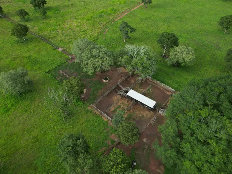 Fazenda em Alvorada/Tocantins — Ref DZZJQW — Imagem 9