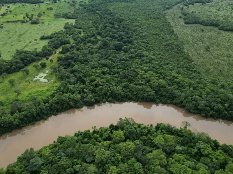 Fazenda em Alvorada/Tocantins — Ref DZZJQW — Imagem 13