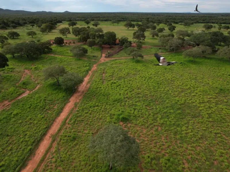 Fazenda em Alvorada/Tocantins — Ref DZZJQW — Imagem 6