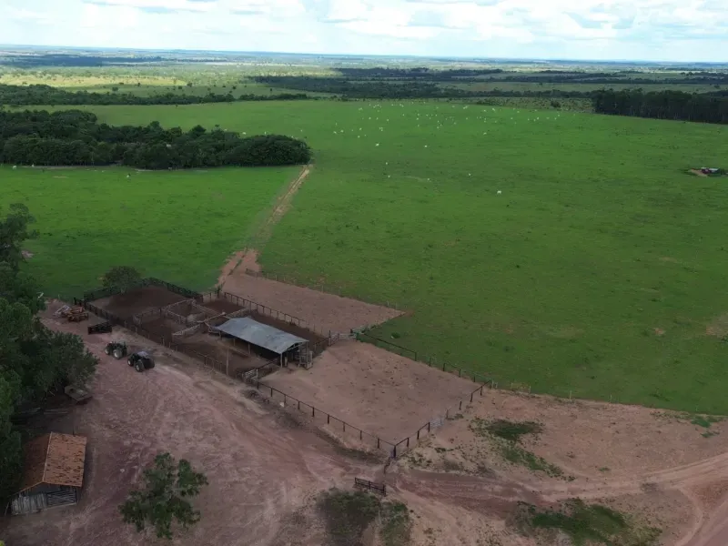 Fazenda em Goianorte/Tocantins — Ref EYN7CG — Imagem 12