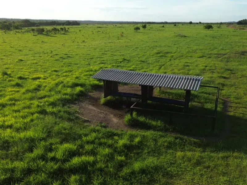 Fazenda em Goianorte/Tocantins — Ref EYN7CG — Imagem 11