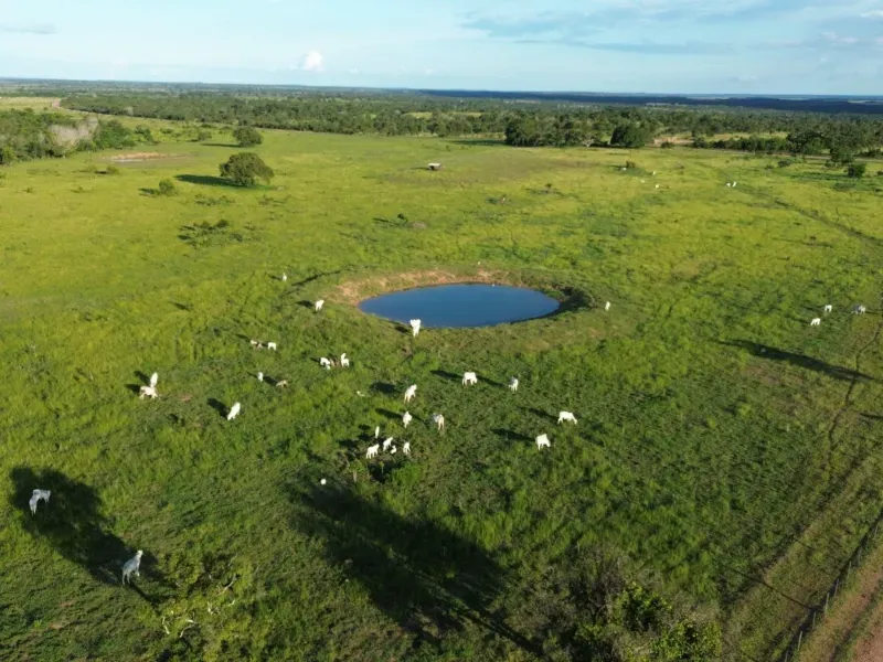 Fazenda em Goianorte/Tocantins — Ref EYN7CG — Imagem 18