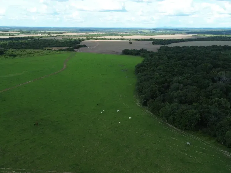 Fazenda em Goianorte/Tocantins — Ref EYN7CG — Imagem 5