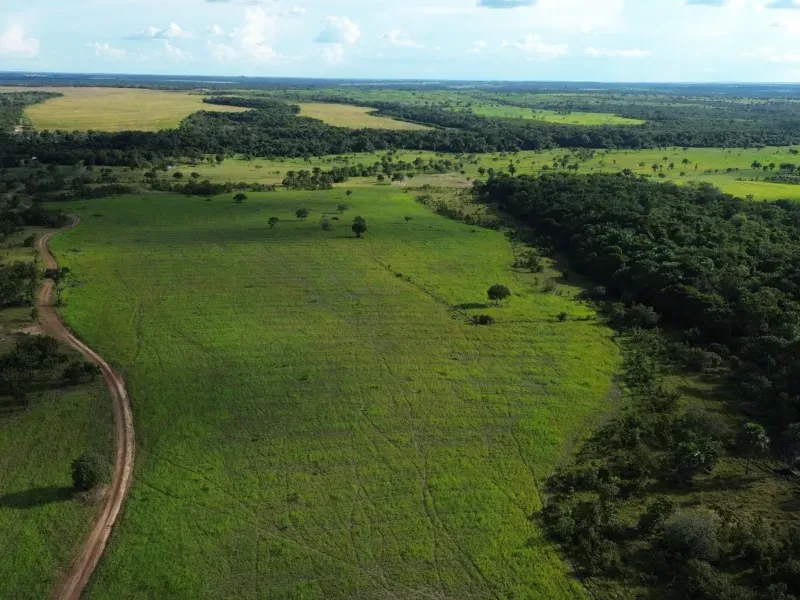 Fazenda em Goianorte/Tocantins — Ref EYN7CG — Imagem 8