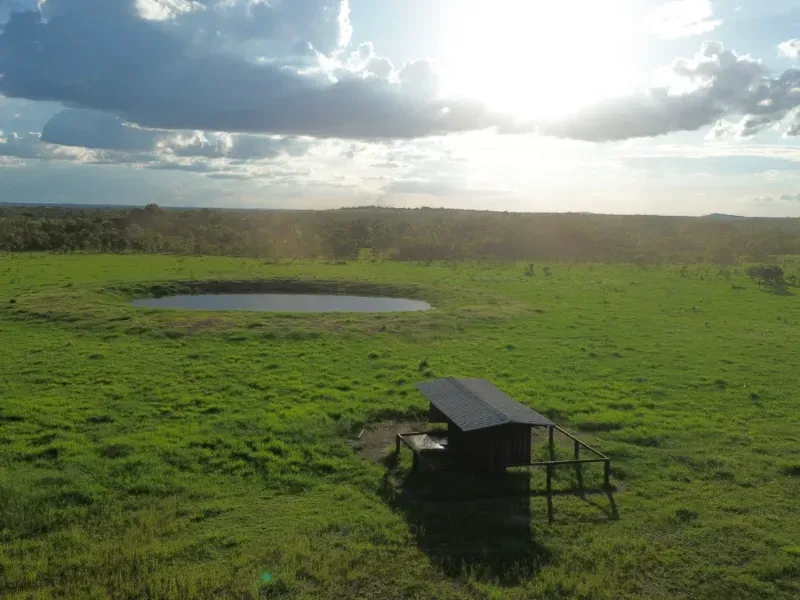 Fazenda em Goianorte/Tocantins — Ref EYN7CG — Imagem 15