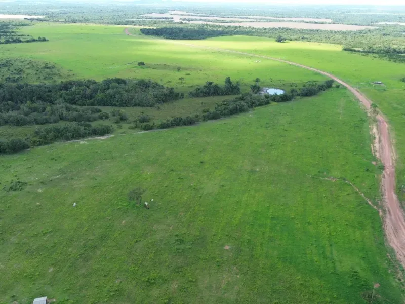 Fazenda em Goianorte/Tocantins — Ref EYN7CG — Imagem 10
