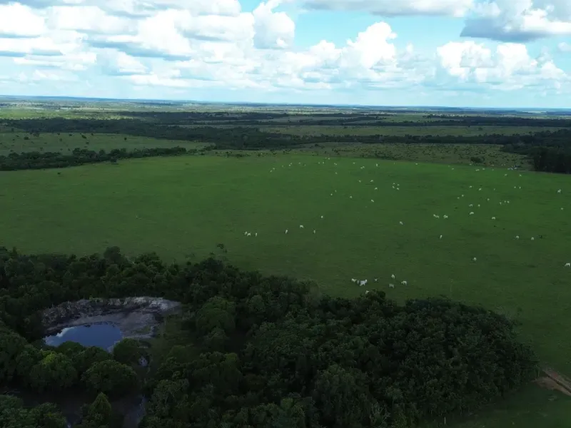 Fazenda em Goianorte/Tocantins — Ref EYN7CG — Imagem 16