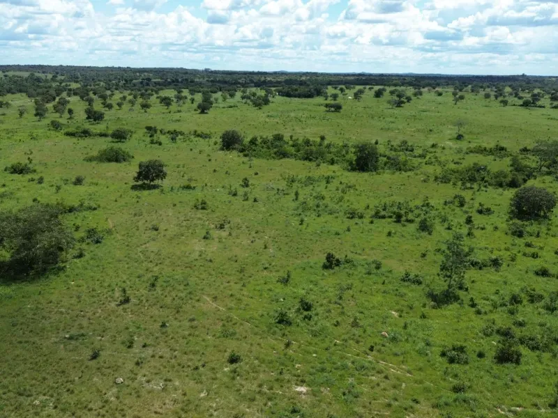 Fazenda em Goianorte/Tocantins — Ref 4K3J26 — Imagem 4