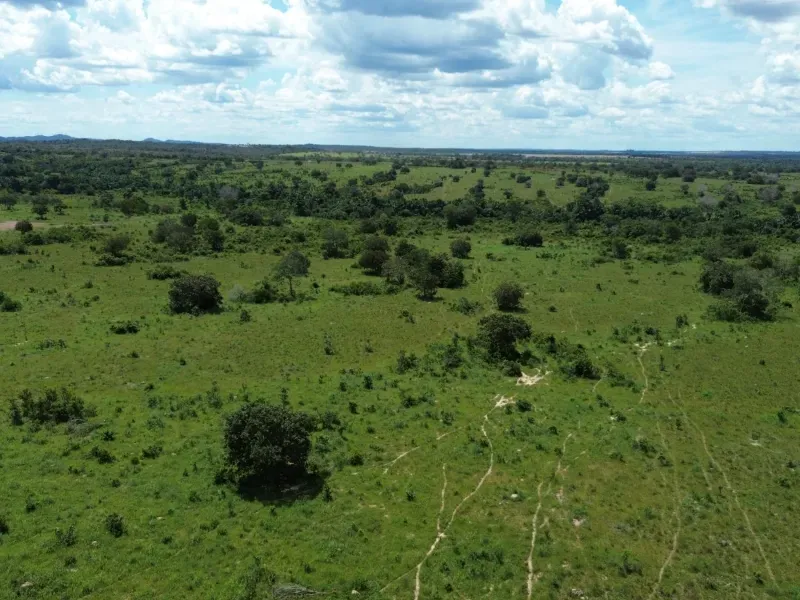 Fazenda em Goianorte/Tocantins — Ref 4K3J26 — Imagem 5