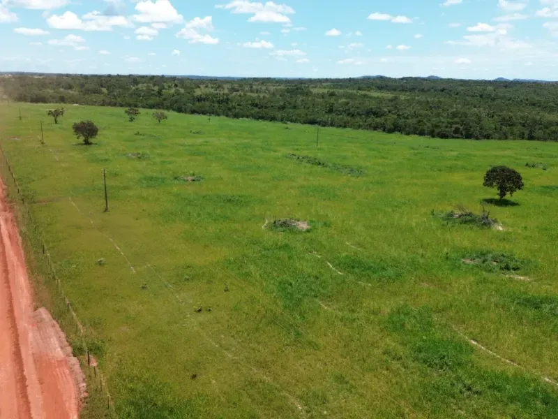 Fazenda em Goianorte/Tocantins — Ref 4K3J26 — Imagem 8