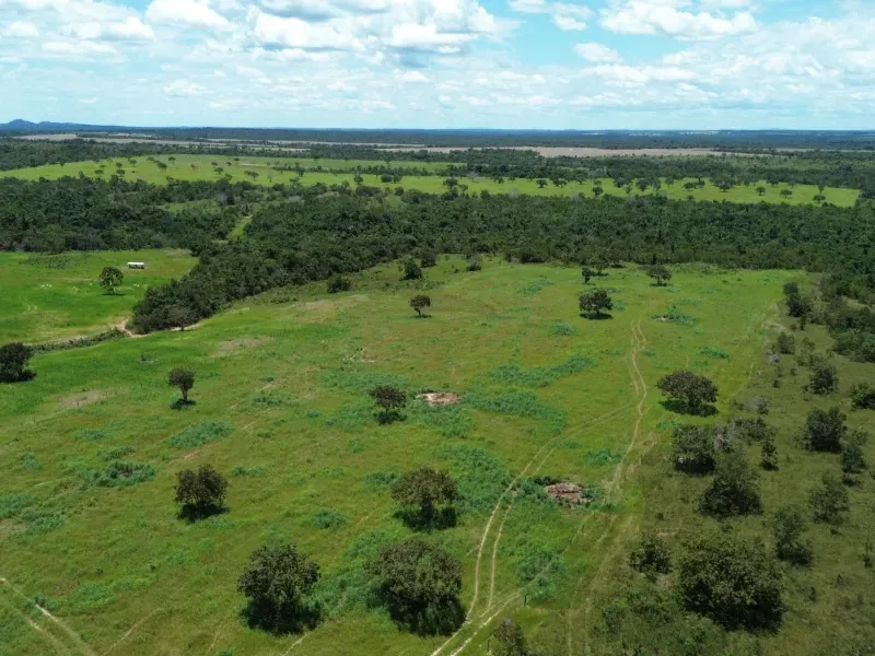 Fazenda em Goianorte/Tocantins — Ref 4K3J26 — Imagem 10
