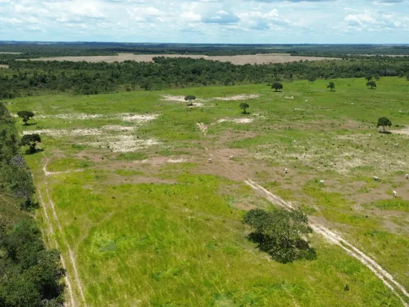 Fazenda em Goianorte/Tocantins — Ref 4K3J26 — Imagem 12