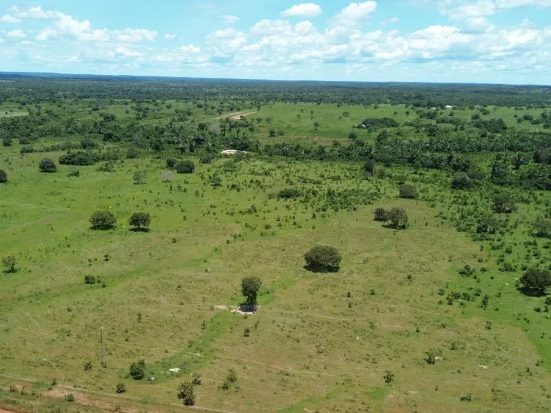 Fazenda em Goianorte/Tocantins — Ref 4K3J26 — Imagem 15