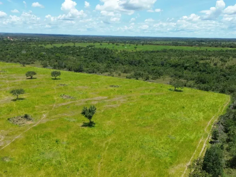 Fazenda em Goianorte/Tocantins — Ref 4K3J26 — Imagem 16