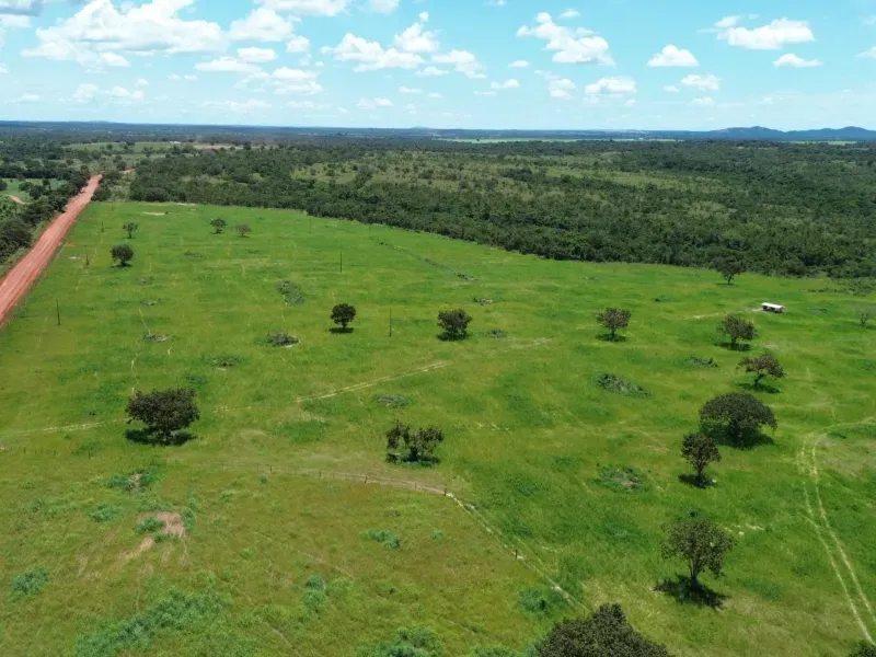 Fazenda em Goianorte/Tocantins — Ref 4K3J26 — Imagem 17