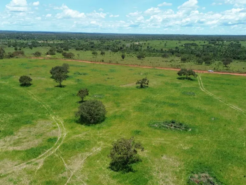 Fazenda em Goianorte/Tocantins — Ref 4K3J26 — Imagem 18