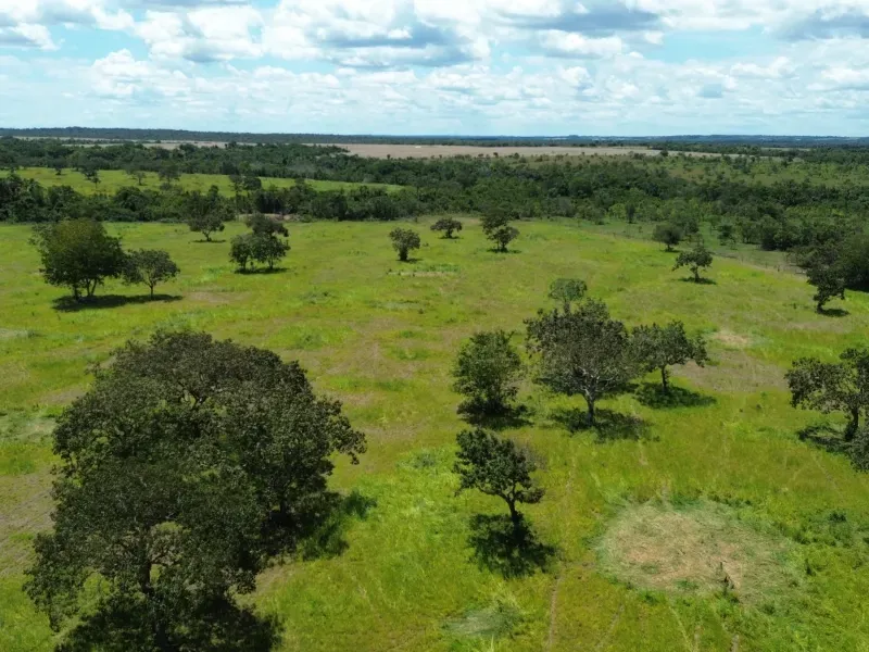 Fazenda em Goianorte/Tocantins — Ref 4K3J26 — Imagem 19