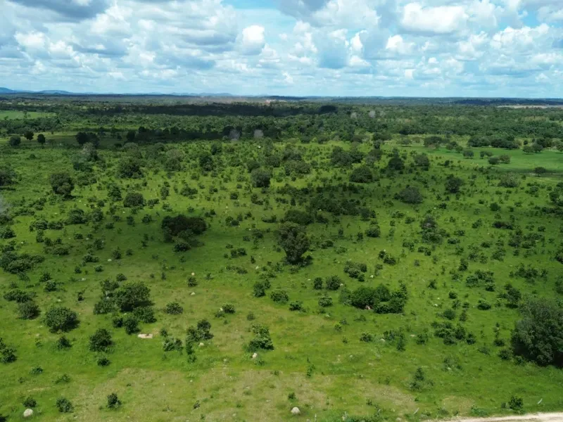 Fazenda em Goianorte/Tocantins — Ref 4K3J26 — Imagem 20