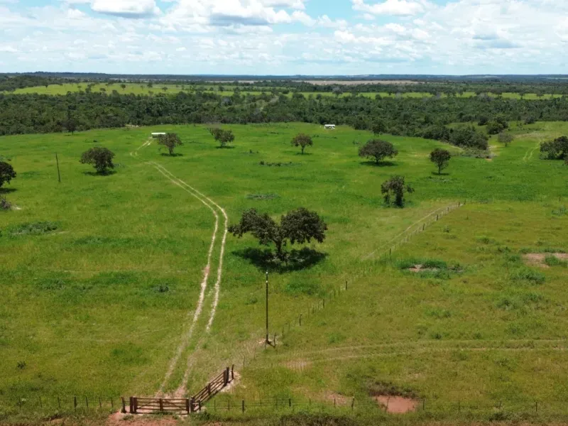 Fazenda em Goianorte/Tocantins — Ref 4K3J26 — Imagem 21