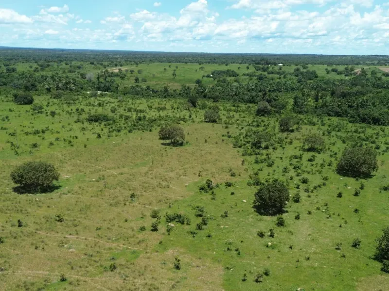 Fazenda em Goianorte/Tocantins — Ref 4K3J26 — Imagem 23