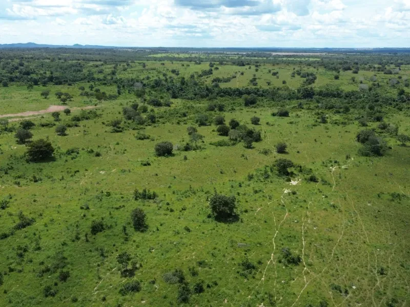 Fazenda em Goianorte/Tocantins — Ref 4K3J26 — Imagem 24