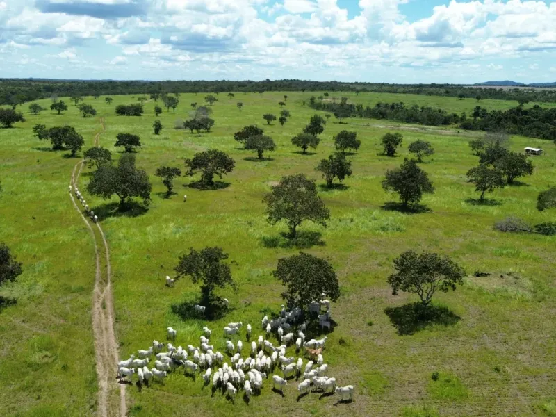 Fazenda em Goianorte/Tocantins — Ref 4K3J26 — Imagem 27