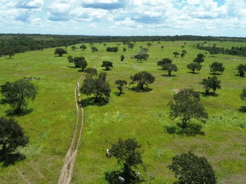 Fazenda em Goianorte/Tocantins — Ref 4K3J26 — Imagem 28