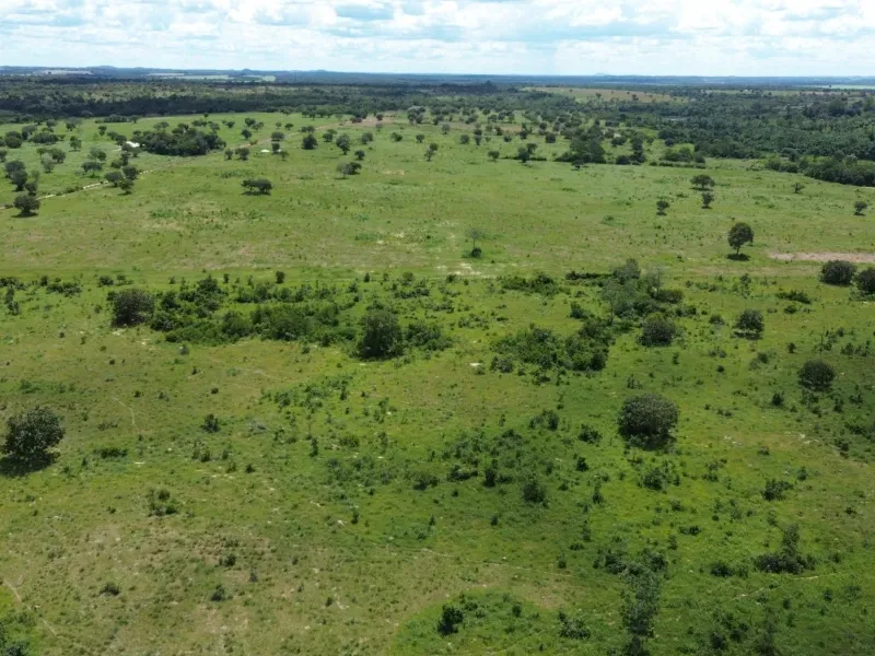 Fazenda em Goianorte/Tocantins — Ref 4K3J26 — Imagem 29