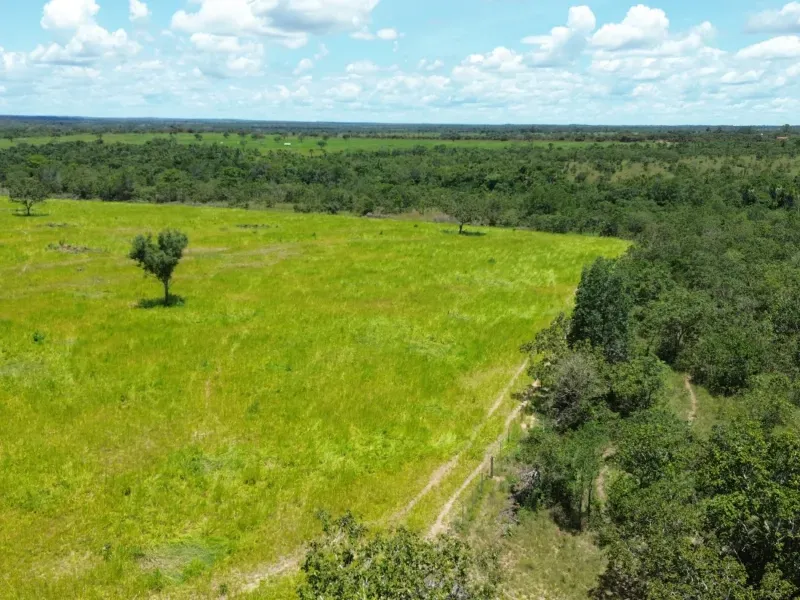 Fazenda em Goianorte/Tocantins — Ref 4K3J26 — Imagem 30