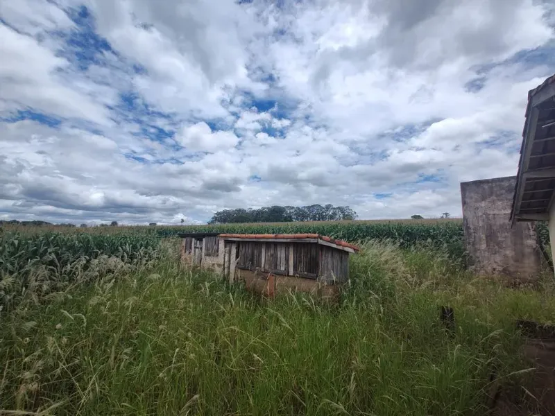Sítio em Mogi Mirim/São Paulo — Ref RLNI3P — Imagem 7