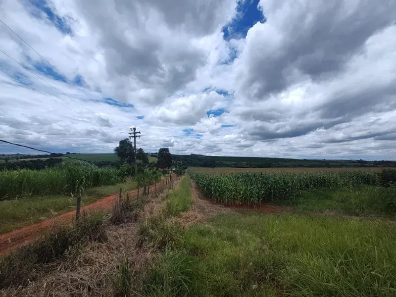 Sítio em Mogi Mirim/São Paulo — Ref RLNI3P — Imagem 5