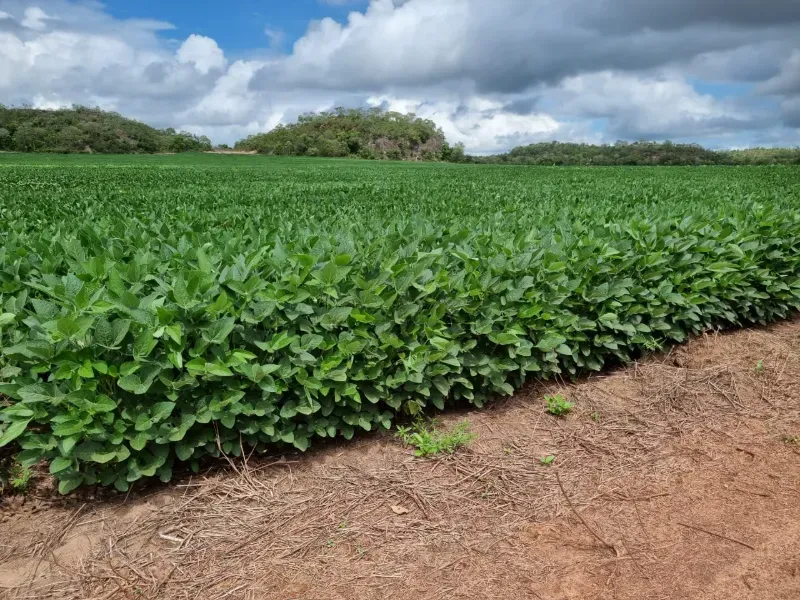 Imóvel rural em Santa Maria do Tocantins/Tocantins — Ref J67NH11
