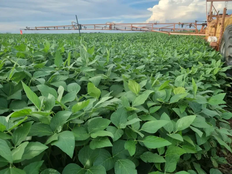 Fazenda em Santa Maria do Tocantins/Tocantins — Ref J67NH1 — Imagem 2