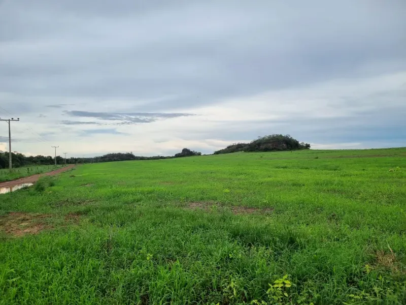 Fazenda em Santa Maria do Tocantins/Tocantins — Ref J67NH1 — Imagem 4