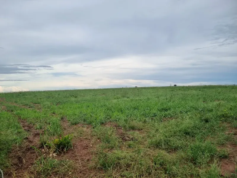 Fazenda em Santa Maria do Tocantins/Tocantins — Ref J67NH1 — Imagem 5