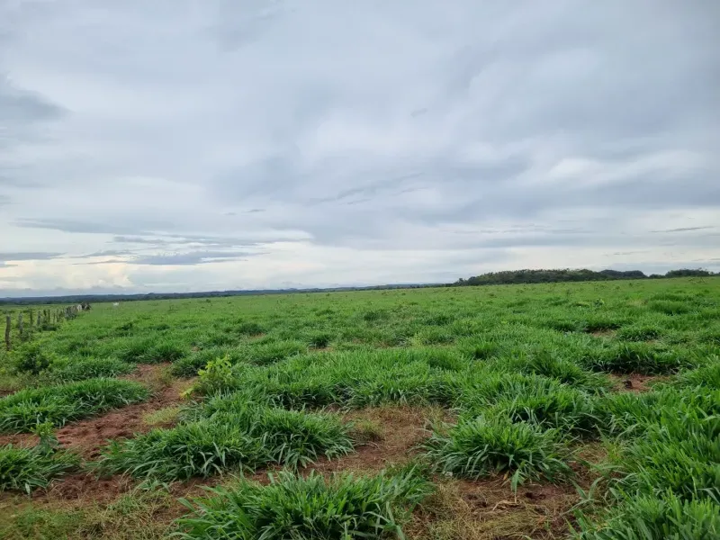 Fazenda em Santa Maria do Tocantins/Tocantins — Ref J67NH1 — Imagem 6