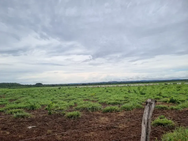 Fazenda em Santa Maria do Tocantins/Tocantins — Ref J67NH1 — Imagem 7