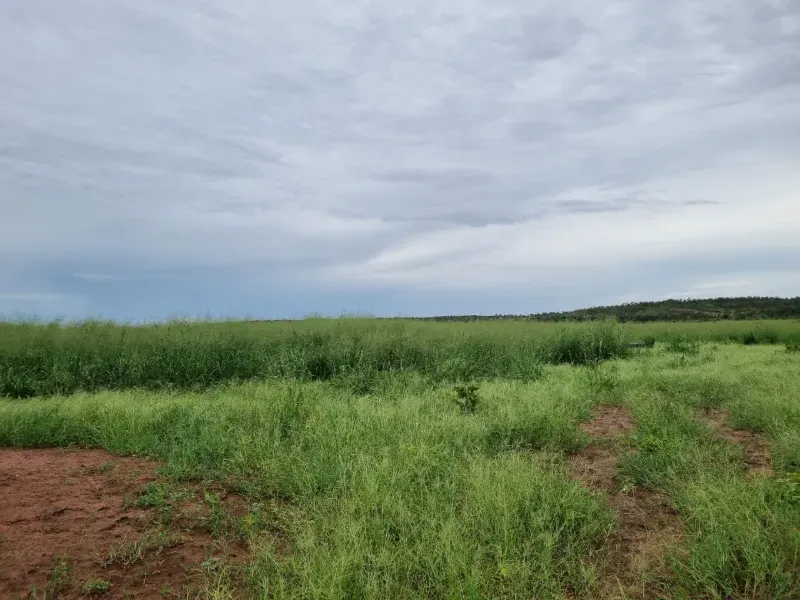 Fazenda em Santa Maria do Tocantins/Tocantins — Ref J67NH1 — Imagem 15