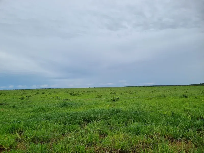 Fazenda em Santa Maria do Tocantins/Tocantins — Ref J67NH1 — Imagem 16