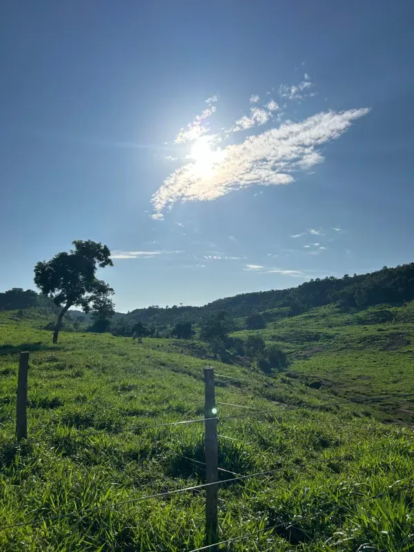 Fazenda em Rio Sono/Tocantins — Ref 26726Y — Imagem 2