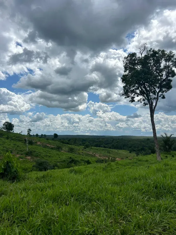 Fazenda em Rio Sono/Tocantins — Ref 26726Y — Imagem 3