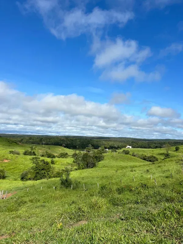 Fazenda em Rio Sono/Tocantins — Ref 26726Y — Imagem 4